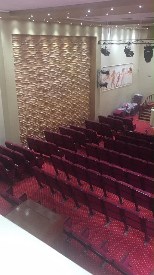 The restored 250-seat auditorium at St. Vincent School Theatre, showing tiered seating, sculpted acoustic wall panelling and the stage lighting rig